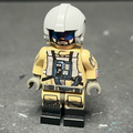 Rebel Pilot decals
